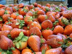berries.jpg
