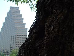 DSCF0011.JPG