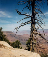 Photo by James Craig.